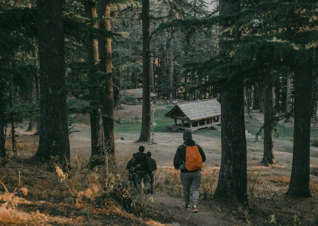 Shoja – Himachal’s Quiet Escape